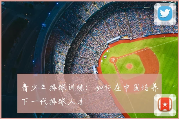 青少年排球训练：如何在中国培养下一代排球人才